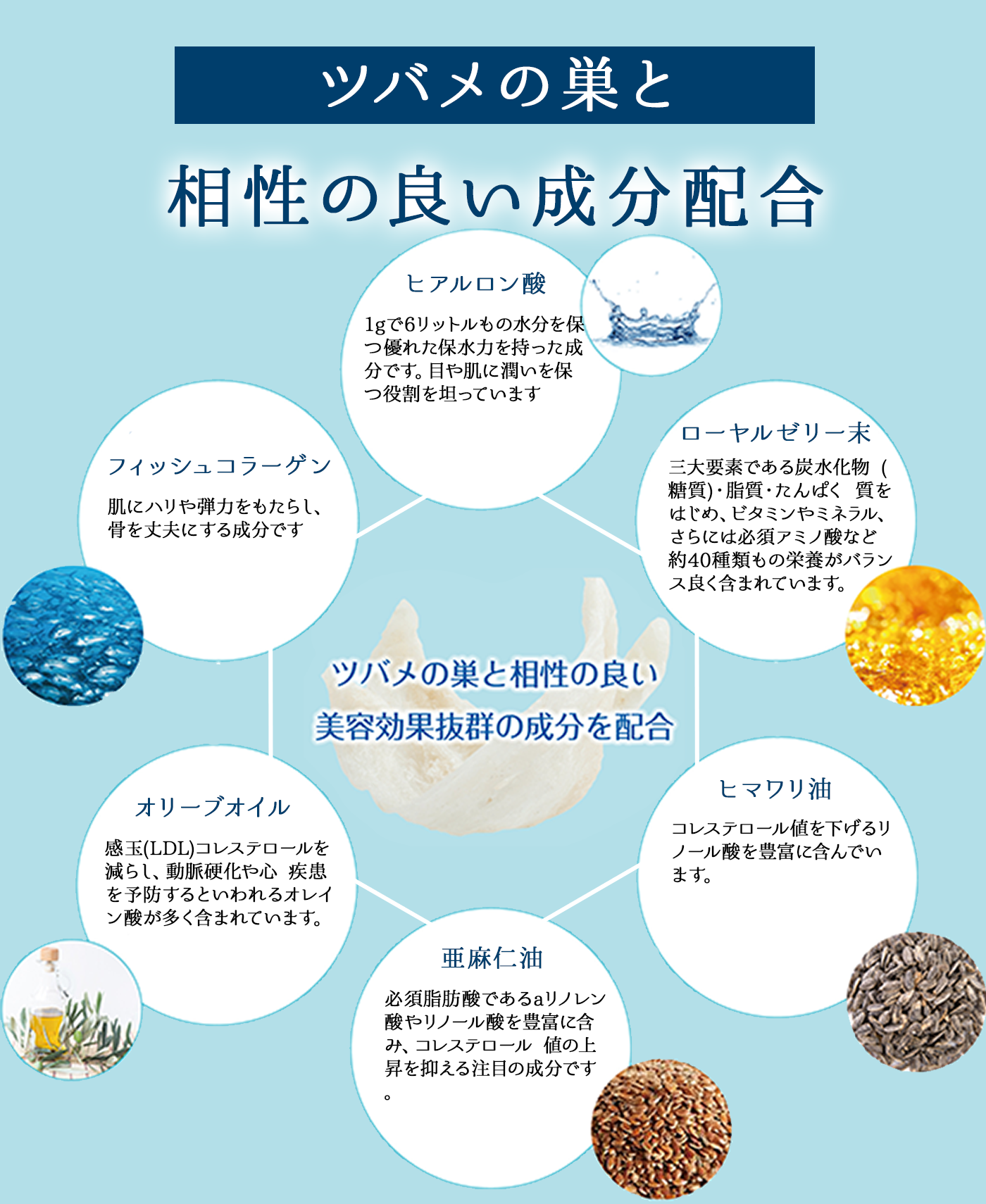 アナツバメの巣と相性の良い成分配合